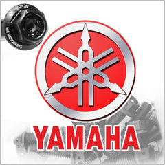 Yamaha Crankcase Cover  Bolt Kit