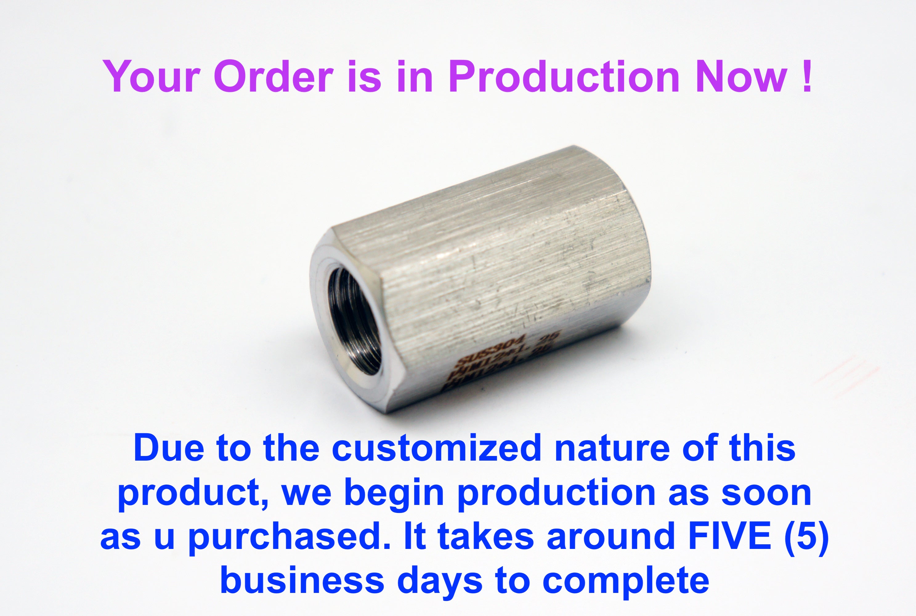 M14x1.5 Female to M10x1.0 Female Stainless Sensor Adaptor Fittings