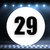 Racing Number Magnets 2pcs Number 29 Circle, 8-18 inch, White Background Black Numbers
